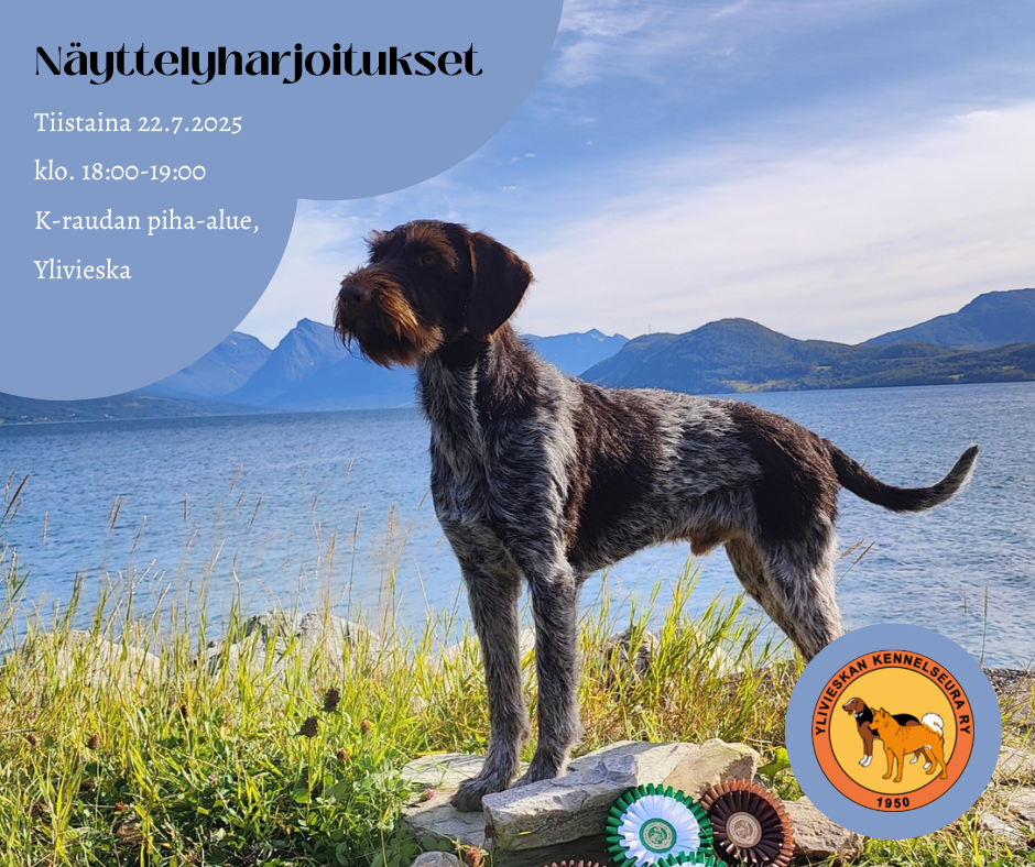 Näyttelytreenit (1)