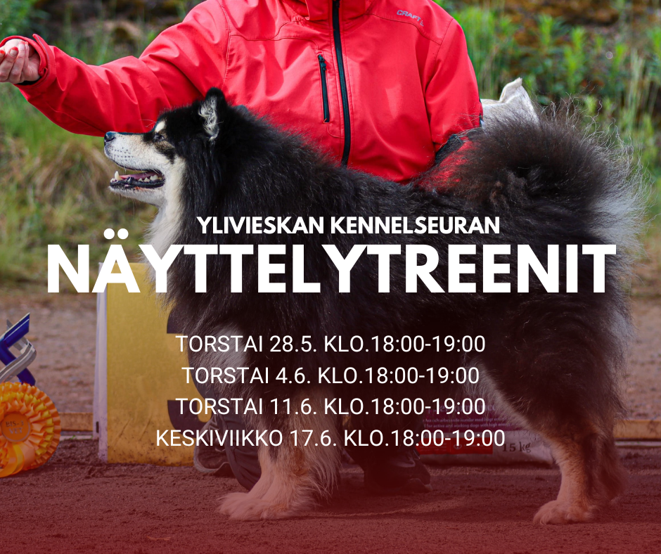 Näyttelytreenejä